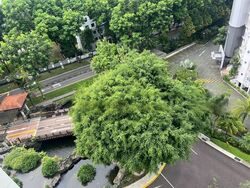 Summerhill (D21), Condominium #472928801